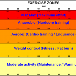 Exercise_zones