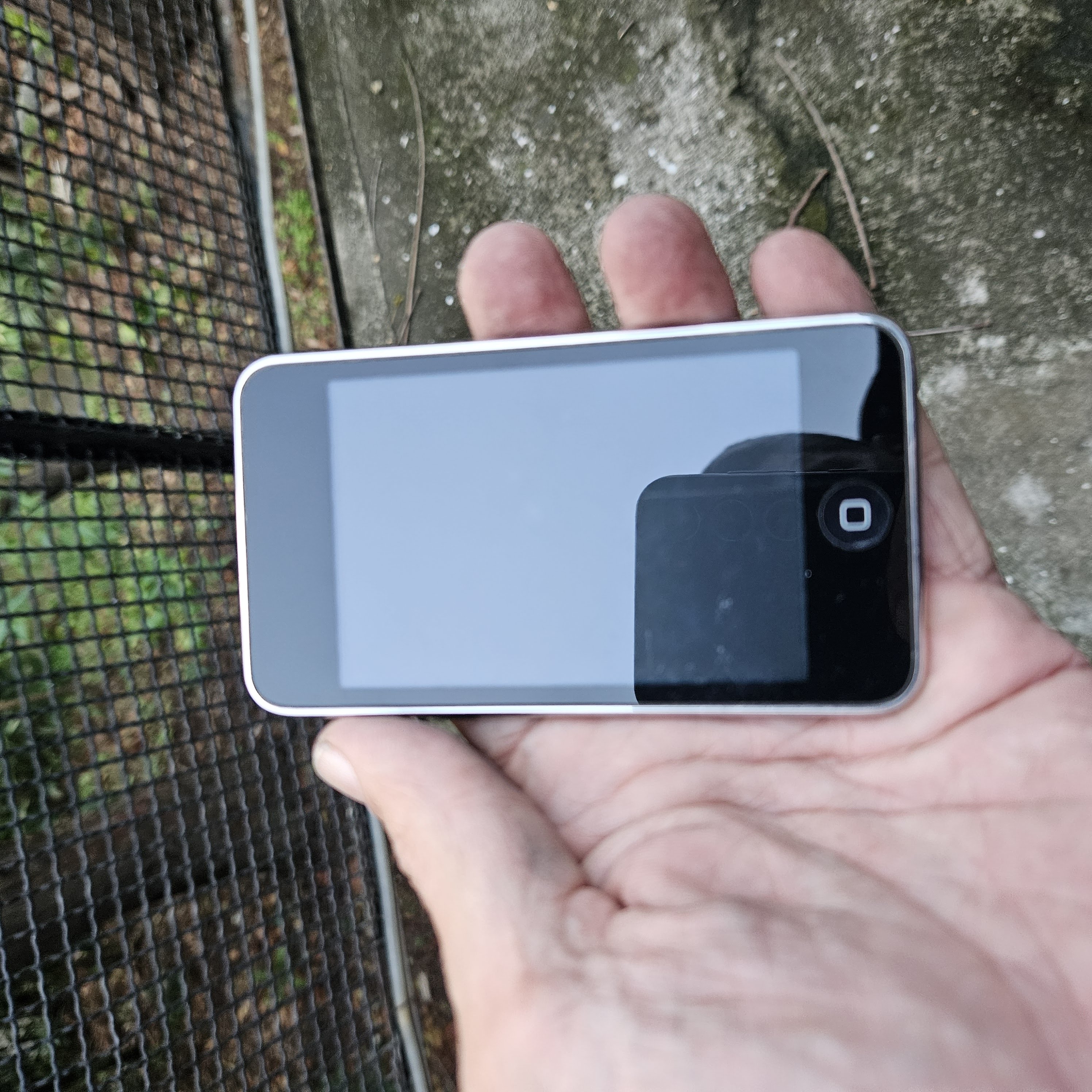ipod touch