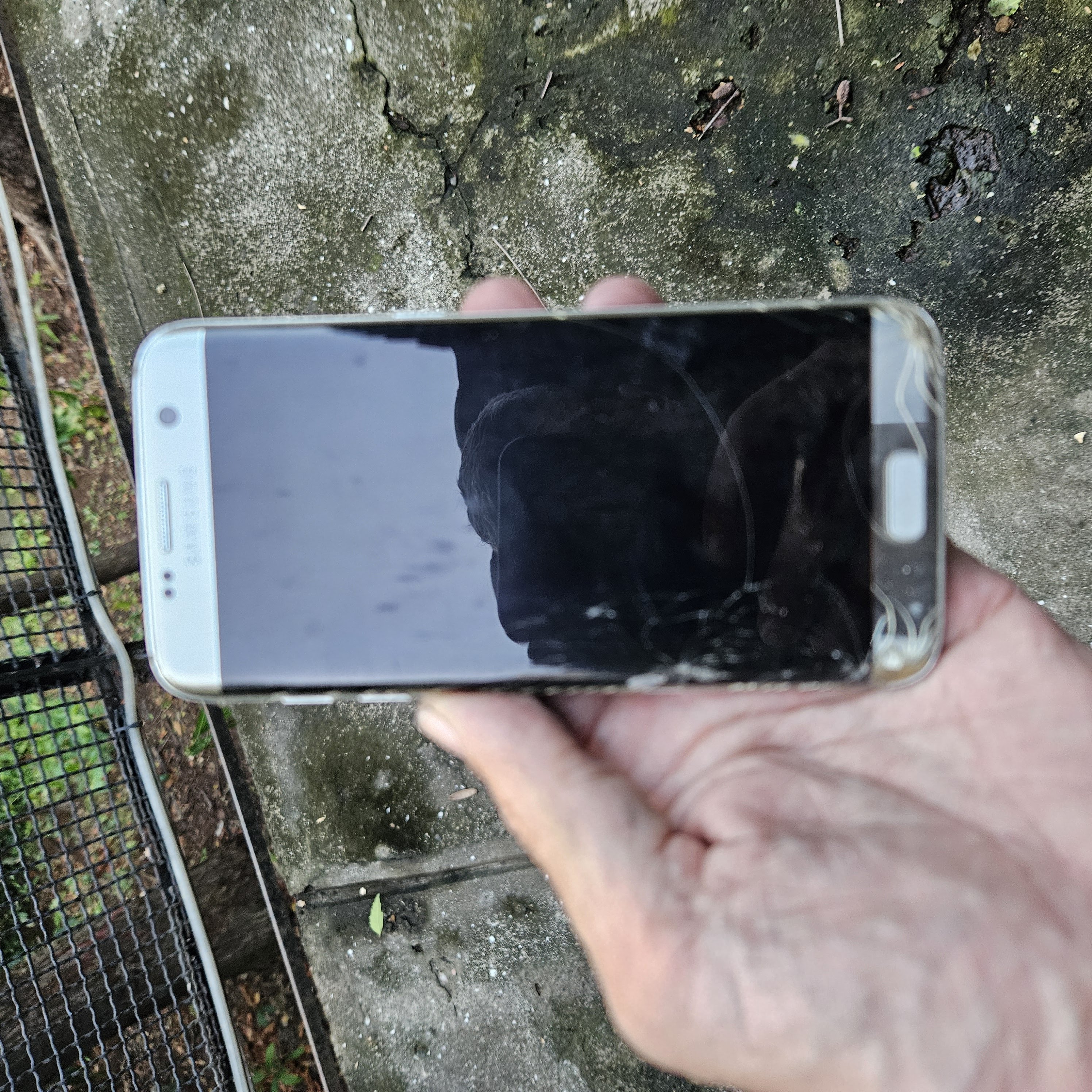 Samsung viejo