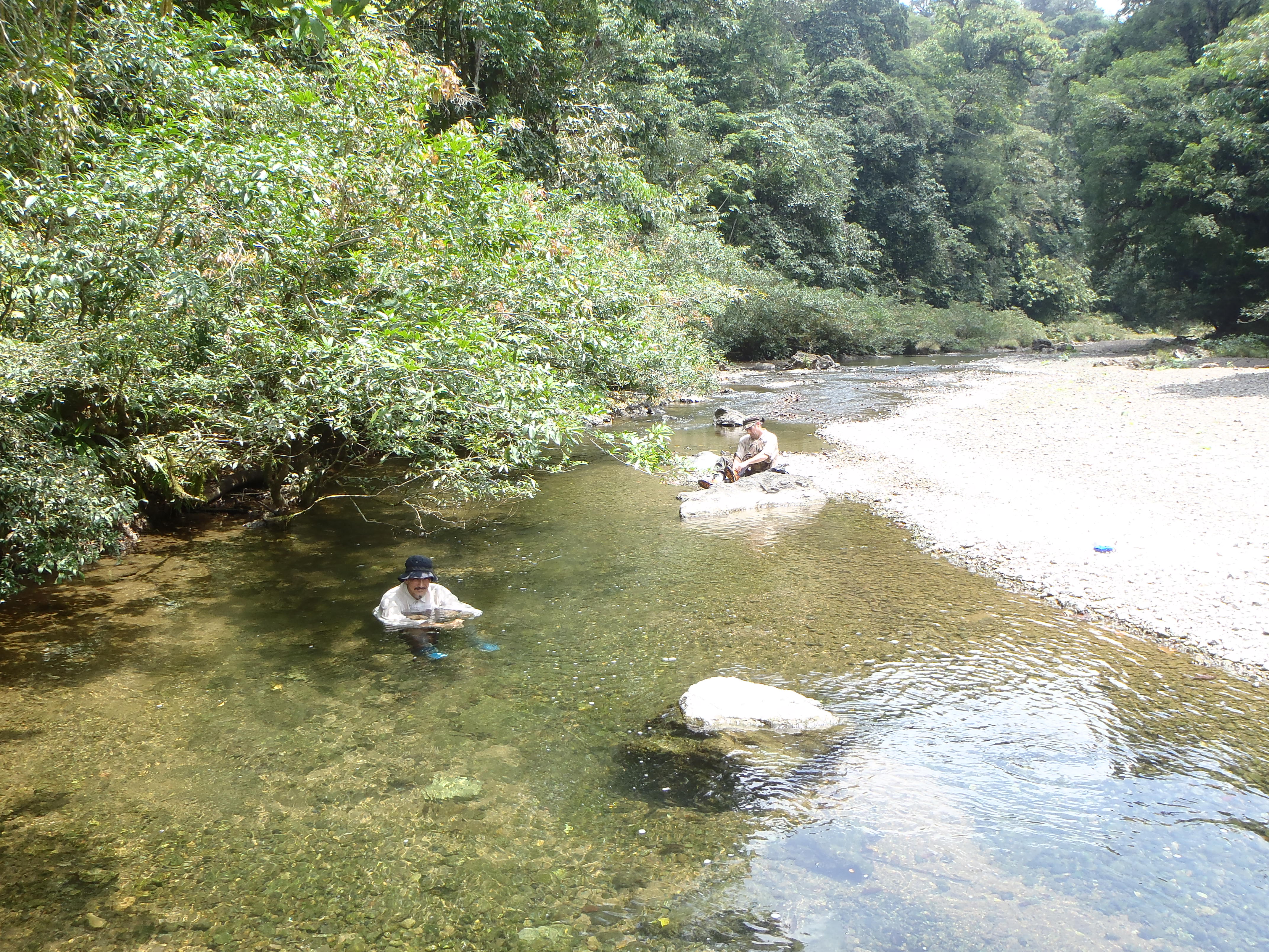 Boquerón y Escandalosa