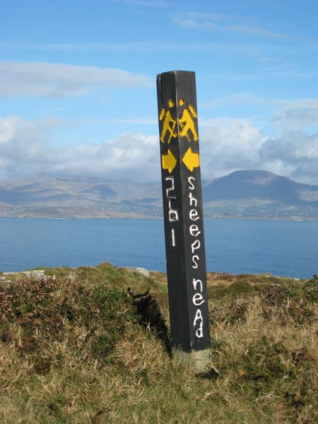 Cork-Sheeps-Head-Waymarker-2