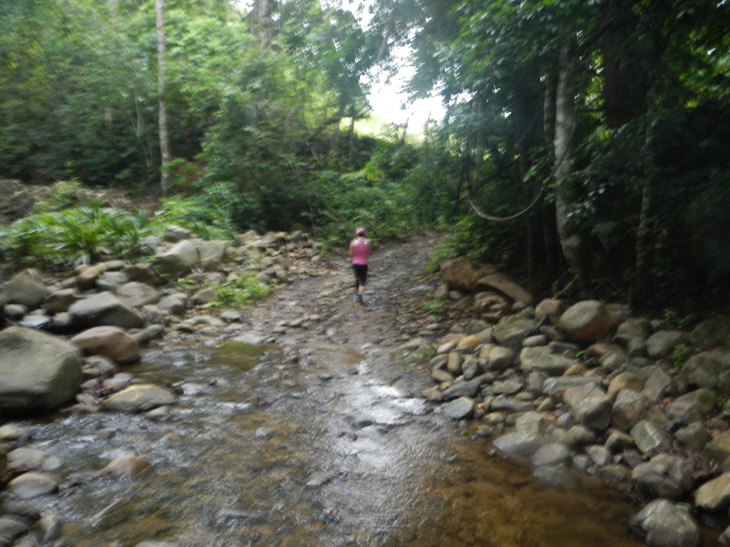DSCN0393