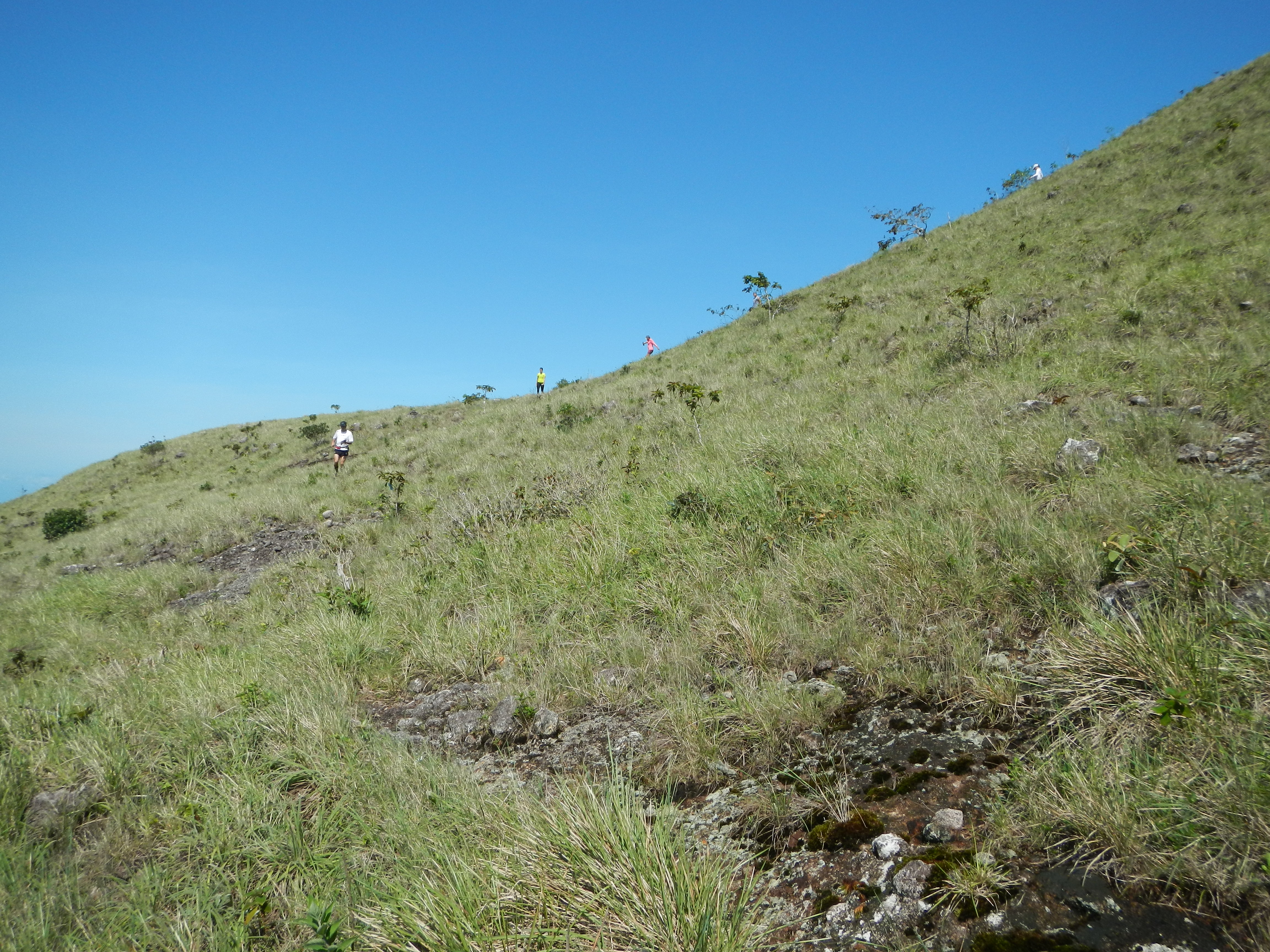 DSCN0522