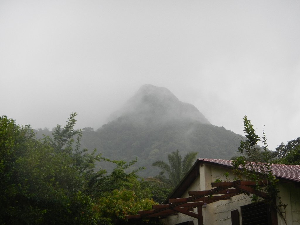 DSCN1468