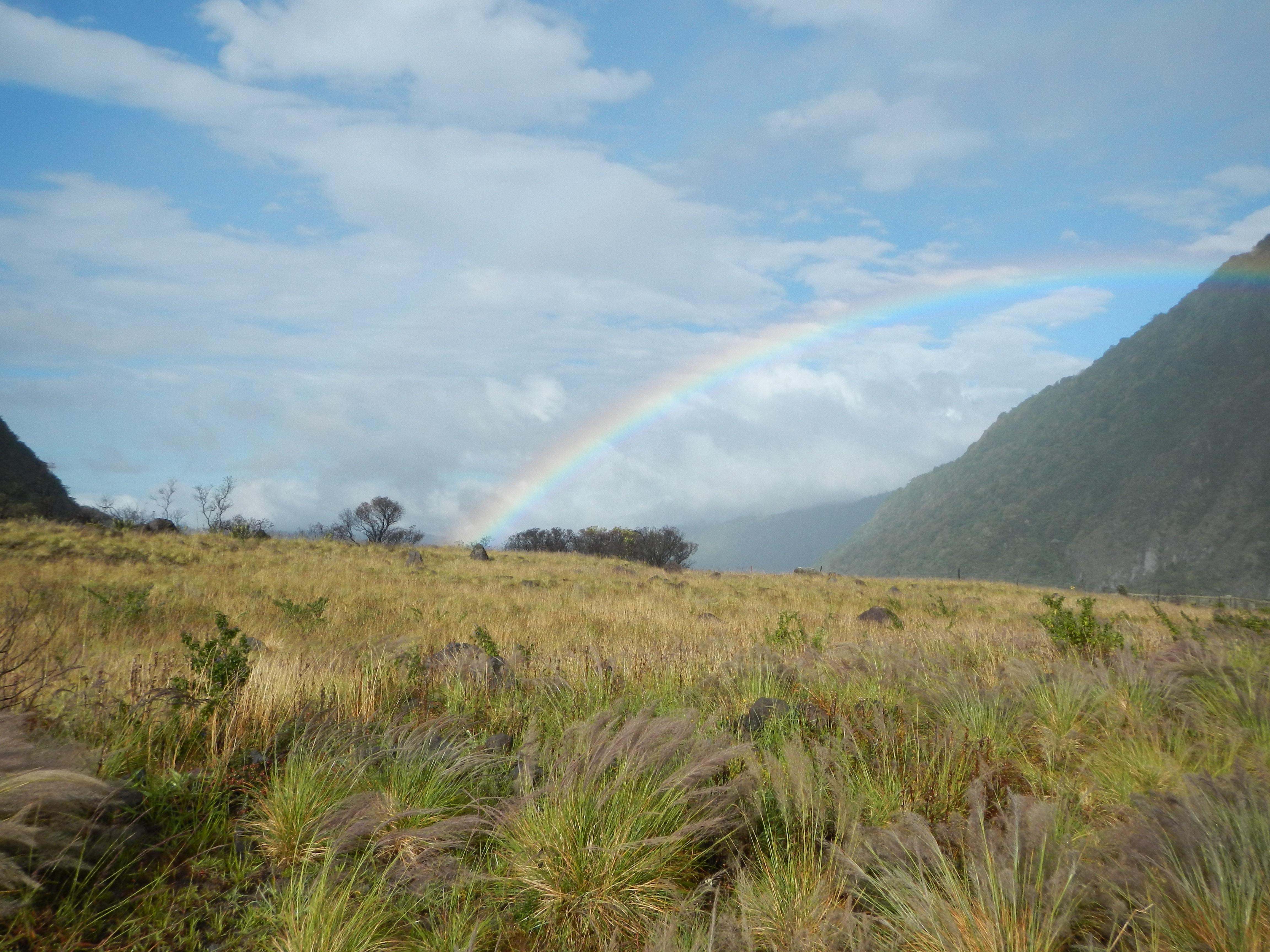 ArcoIris