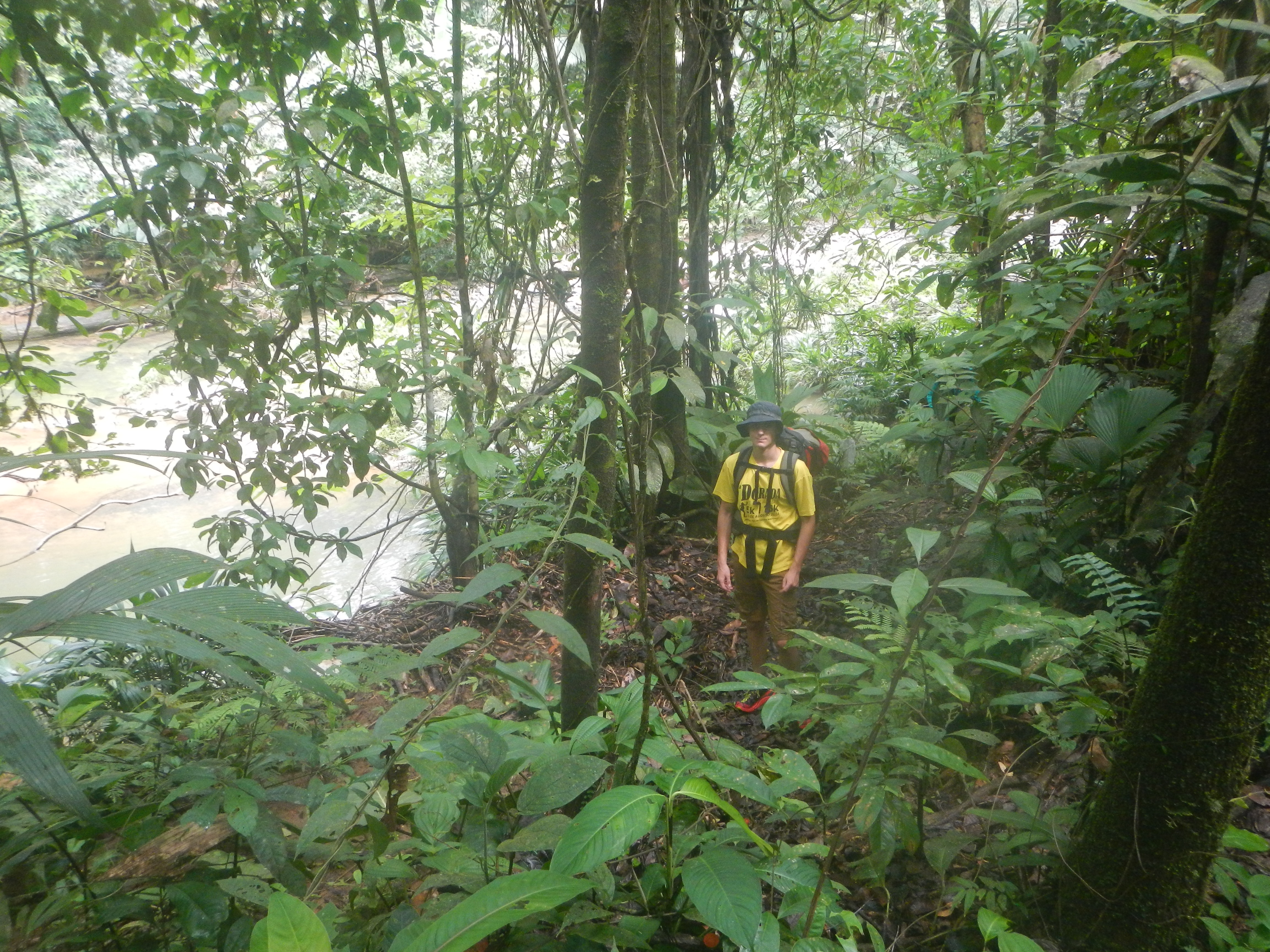 Sendero
