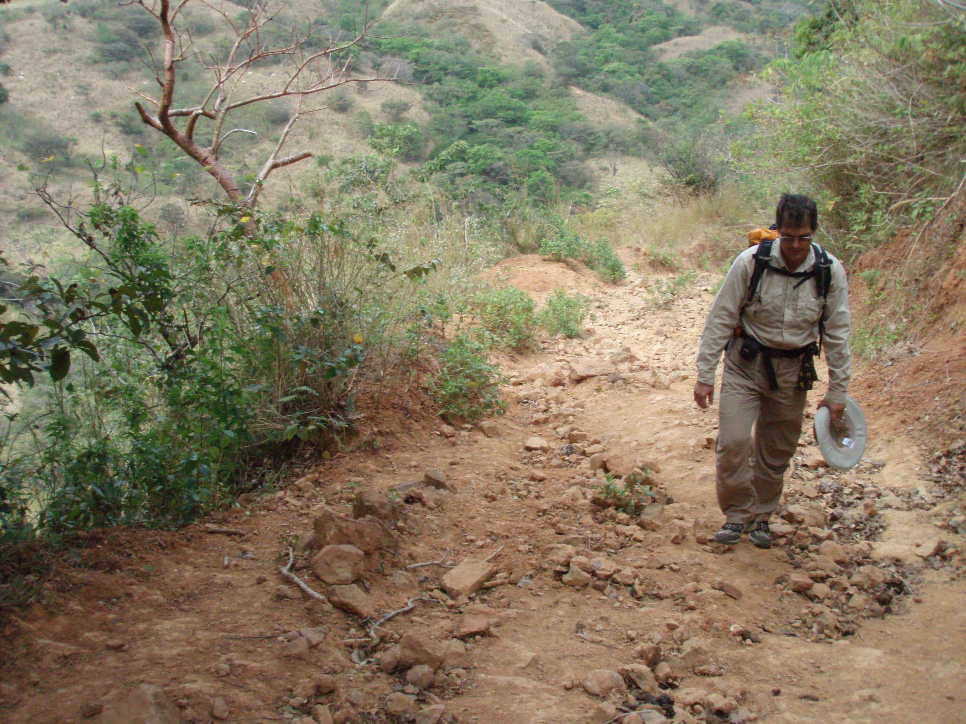 Subiendo hacia Cerro Golondrina