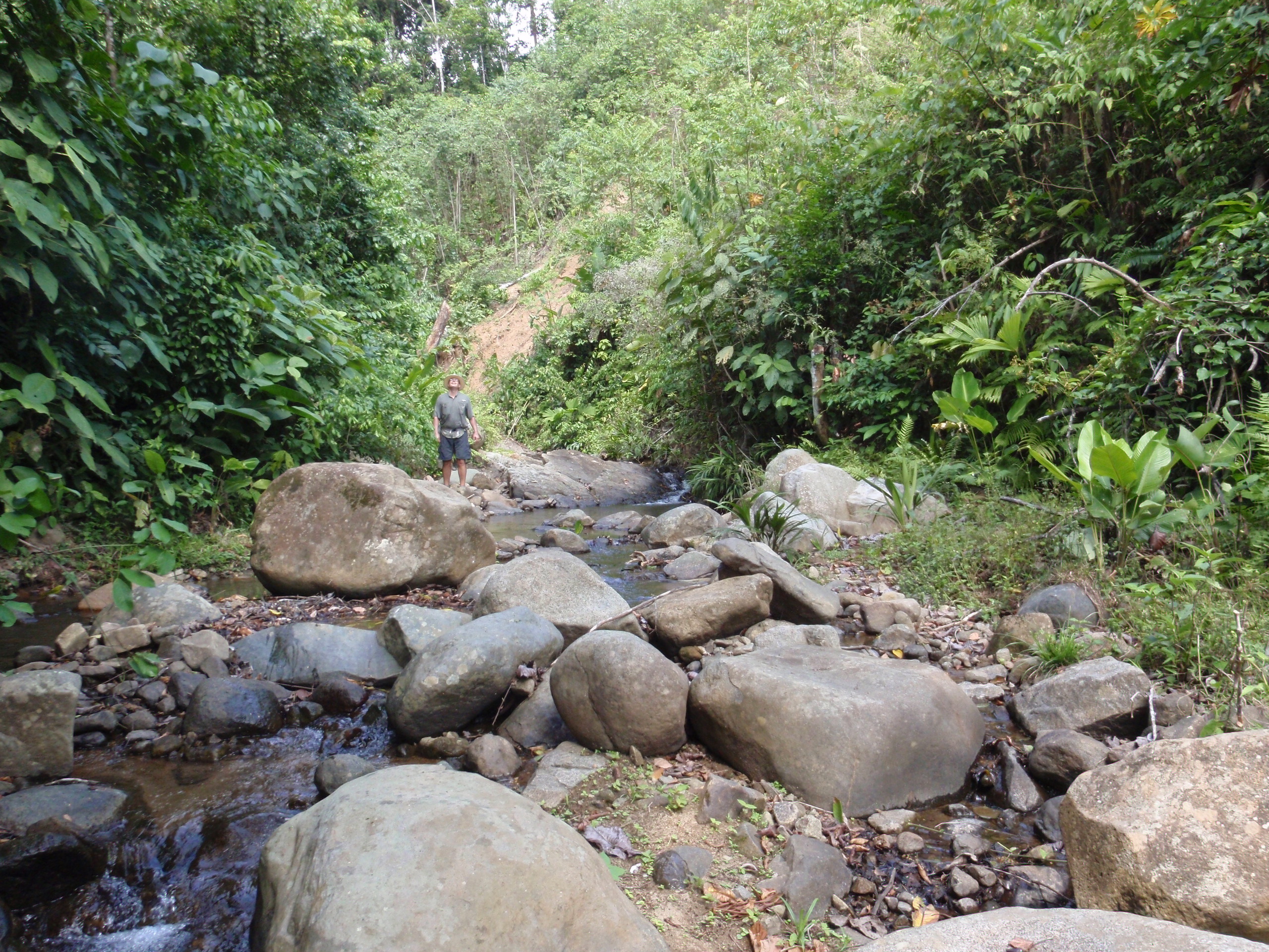 Río Indio a Corpus Cristi
