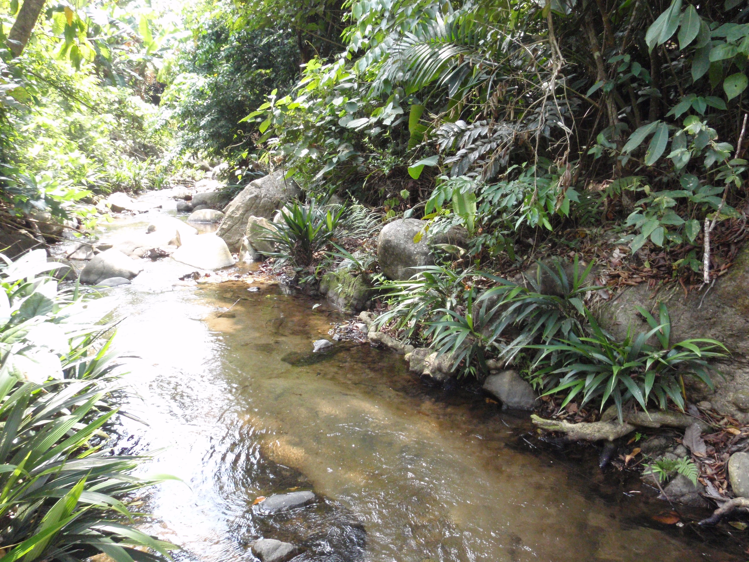 Río Indio a Corpus Cristi