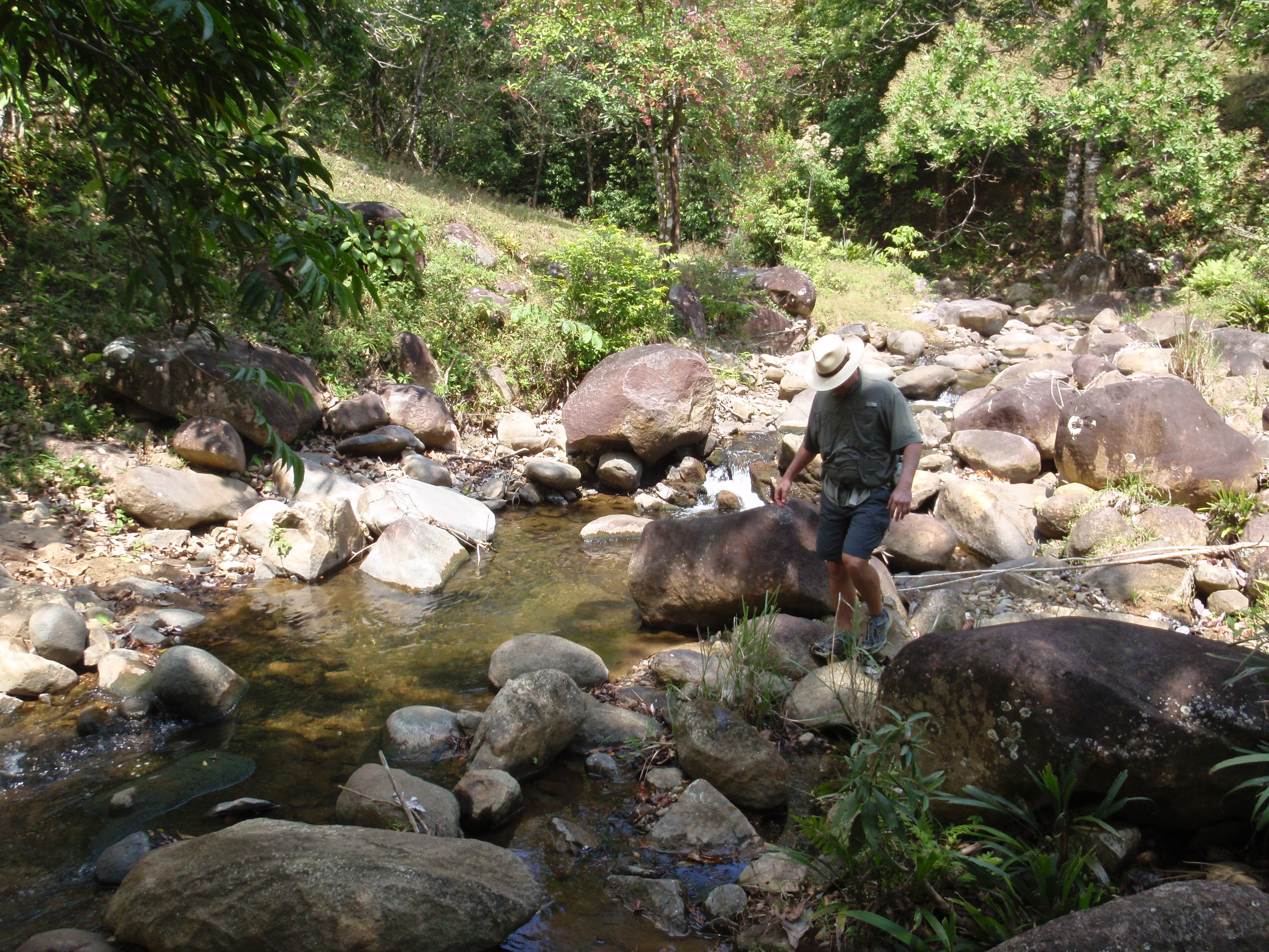 Río Indio a Corpus Cristi