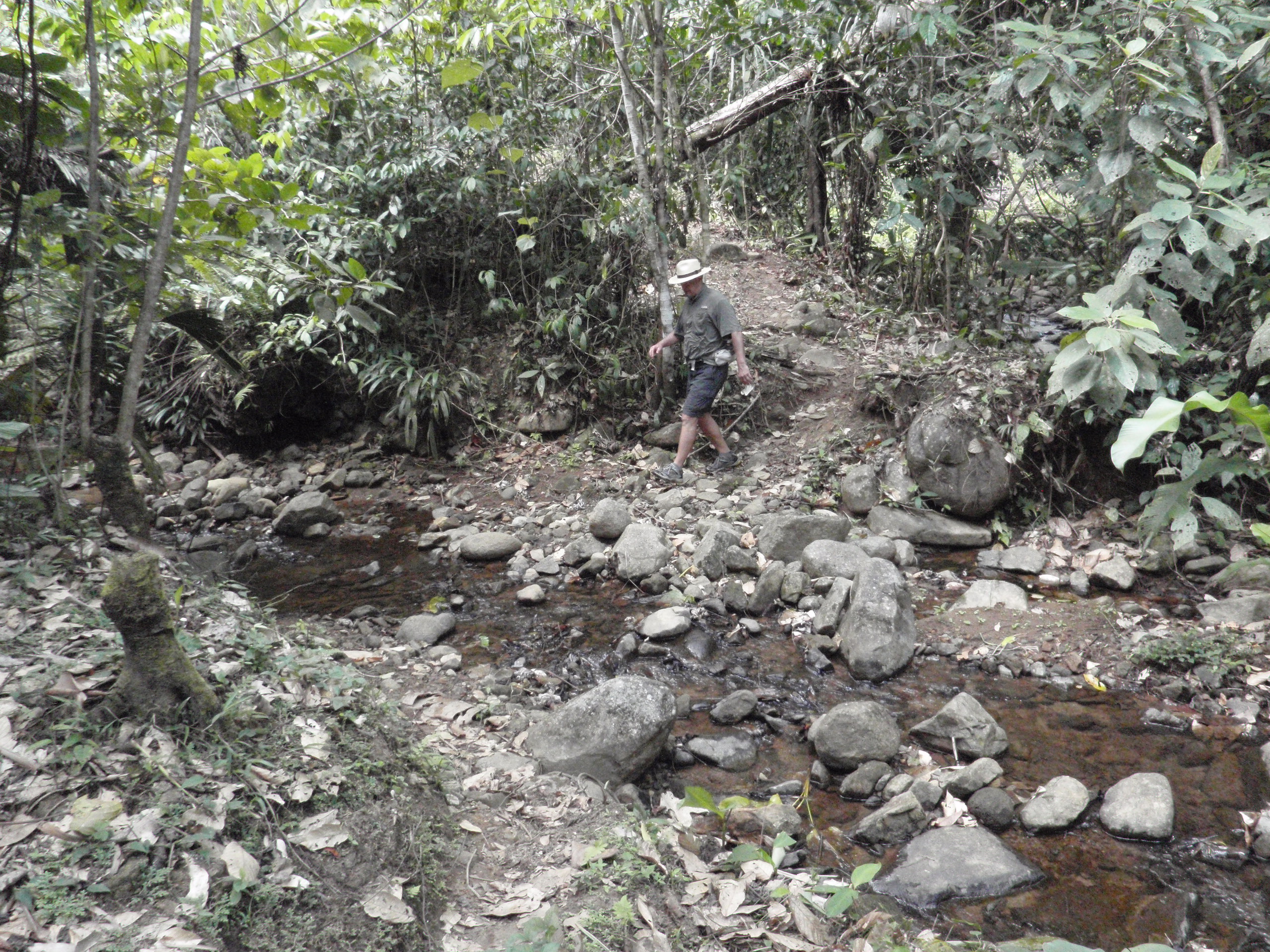 Río Indio a Corpus Cristi