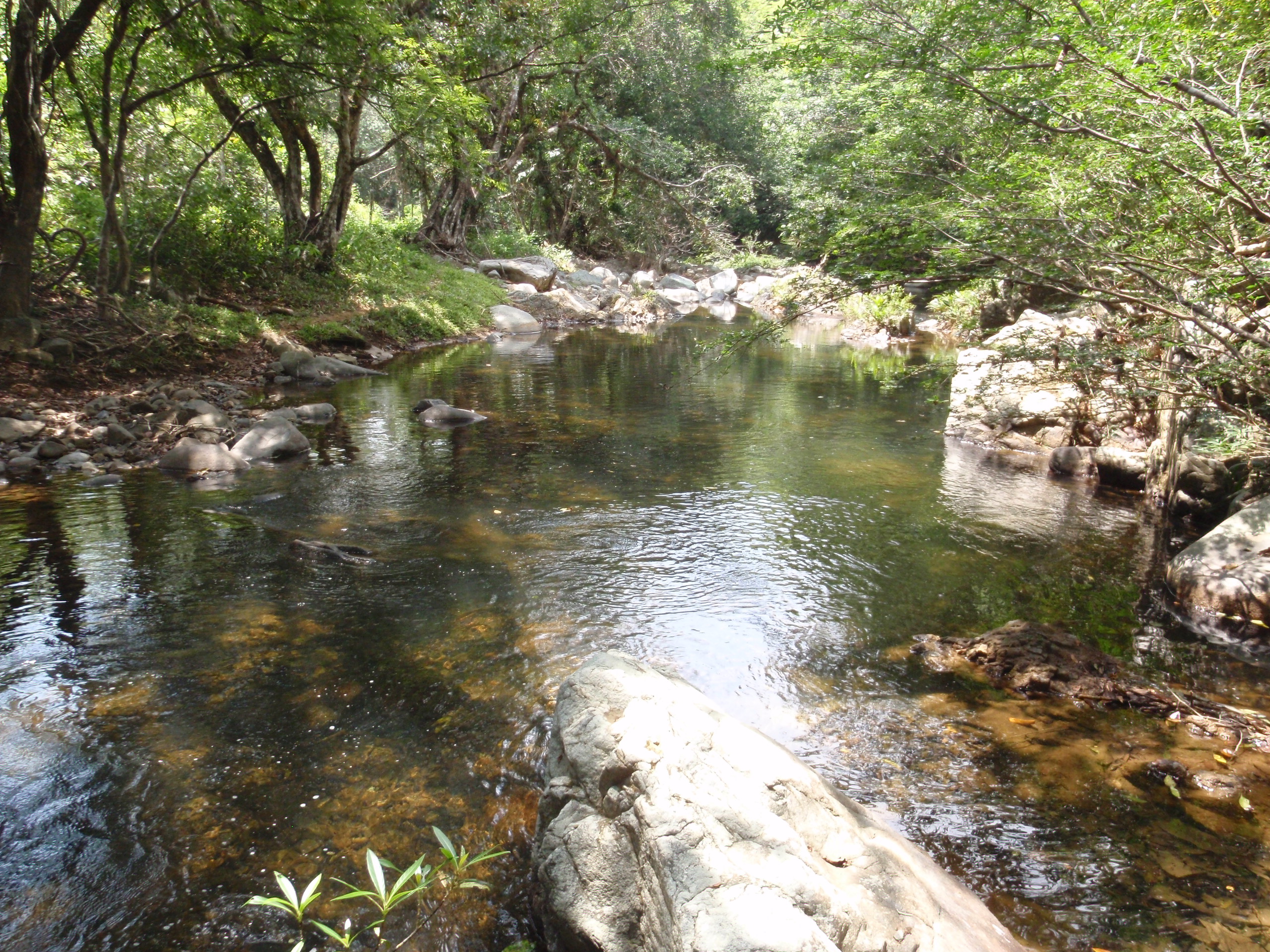 Río Indio a Corpus Cristi