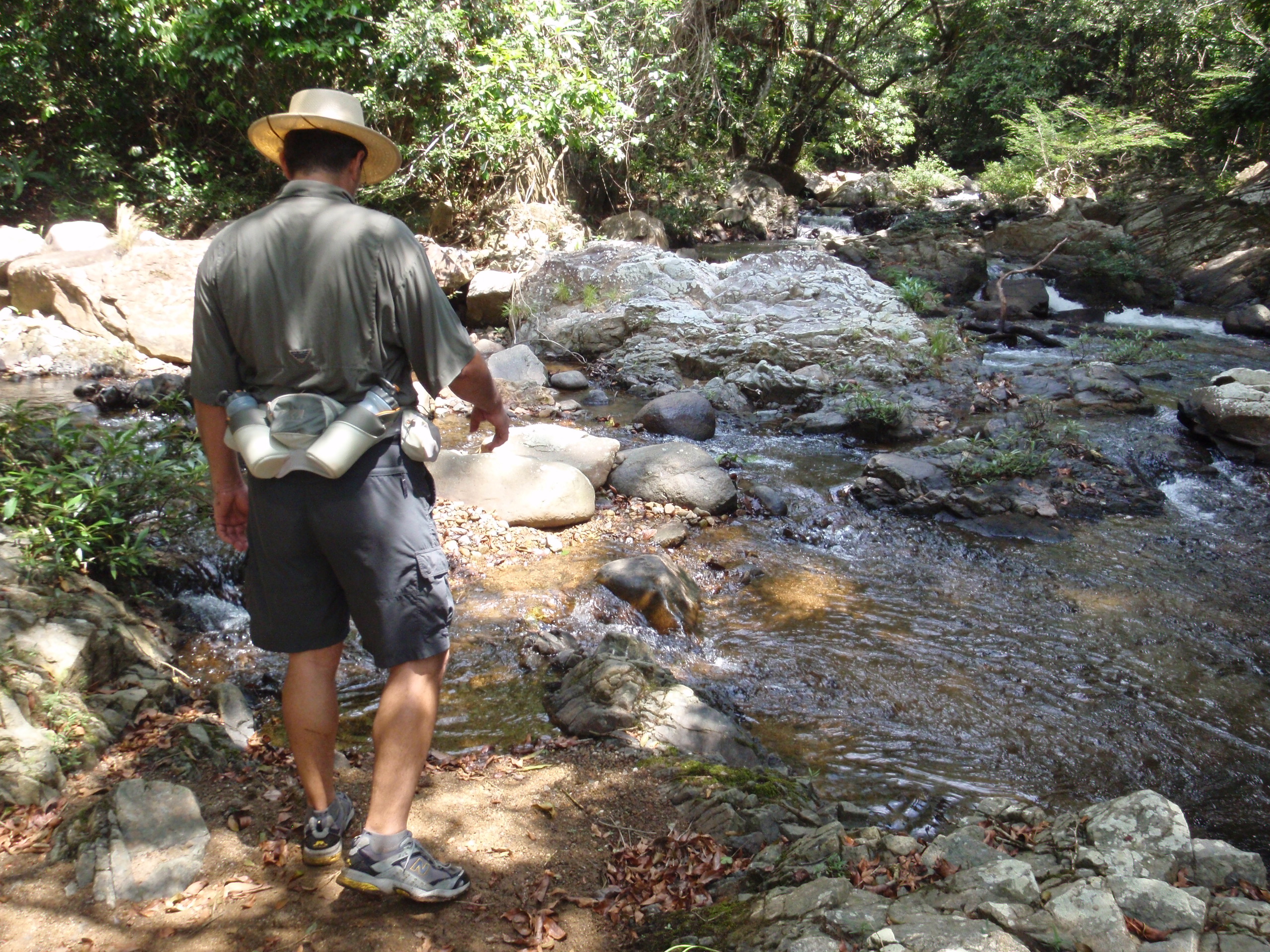 Río Indio a Corpus Cristi
