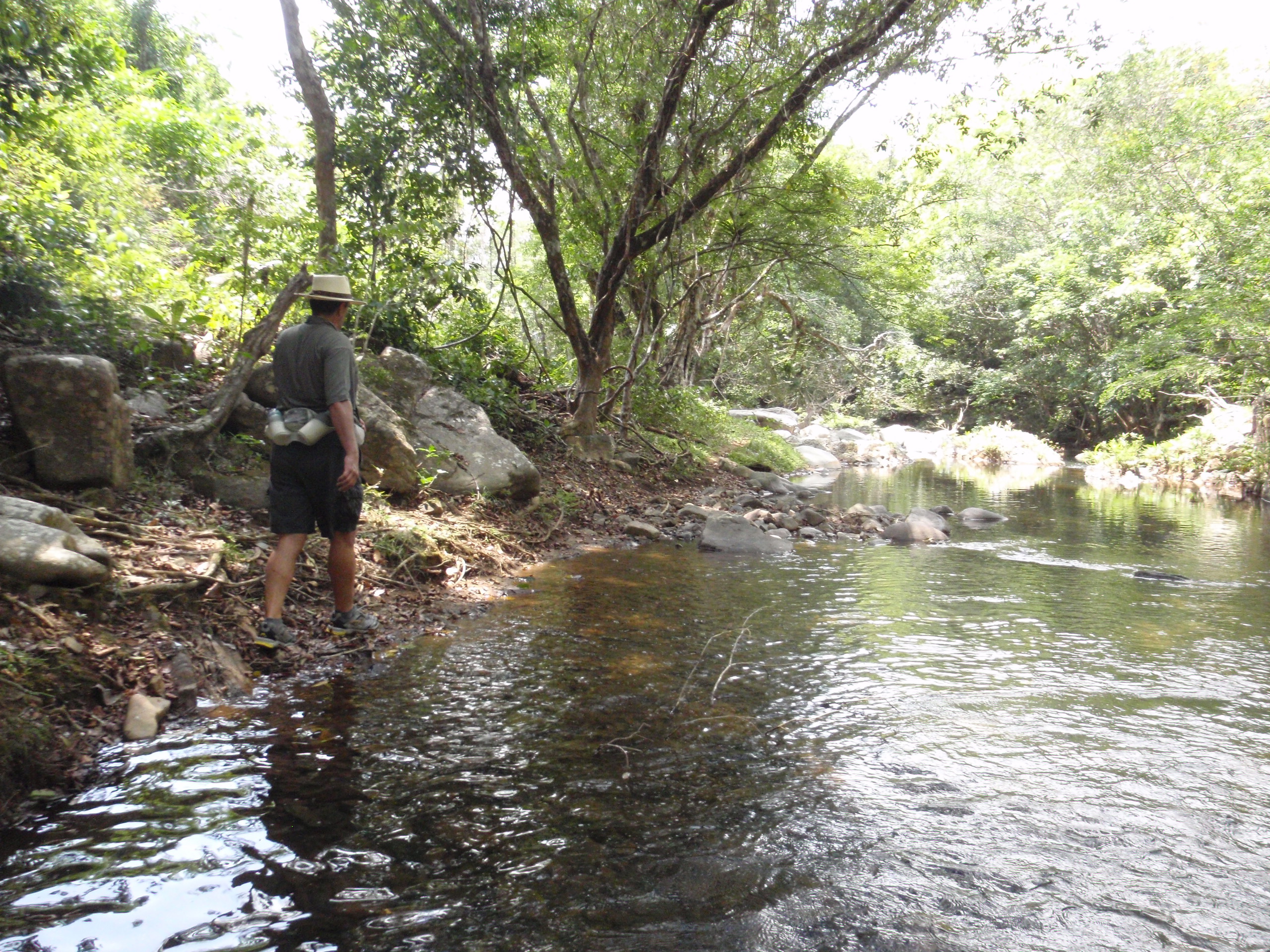 Río Indio a Corpus Cristi