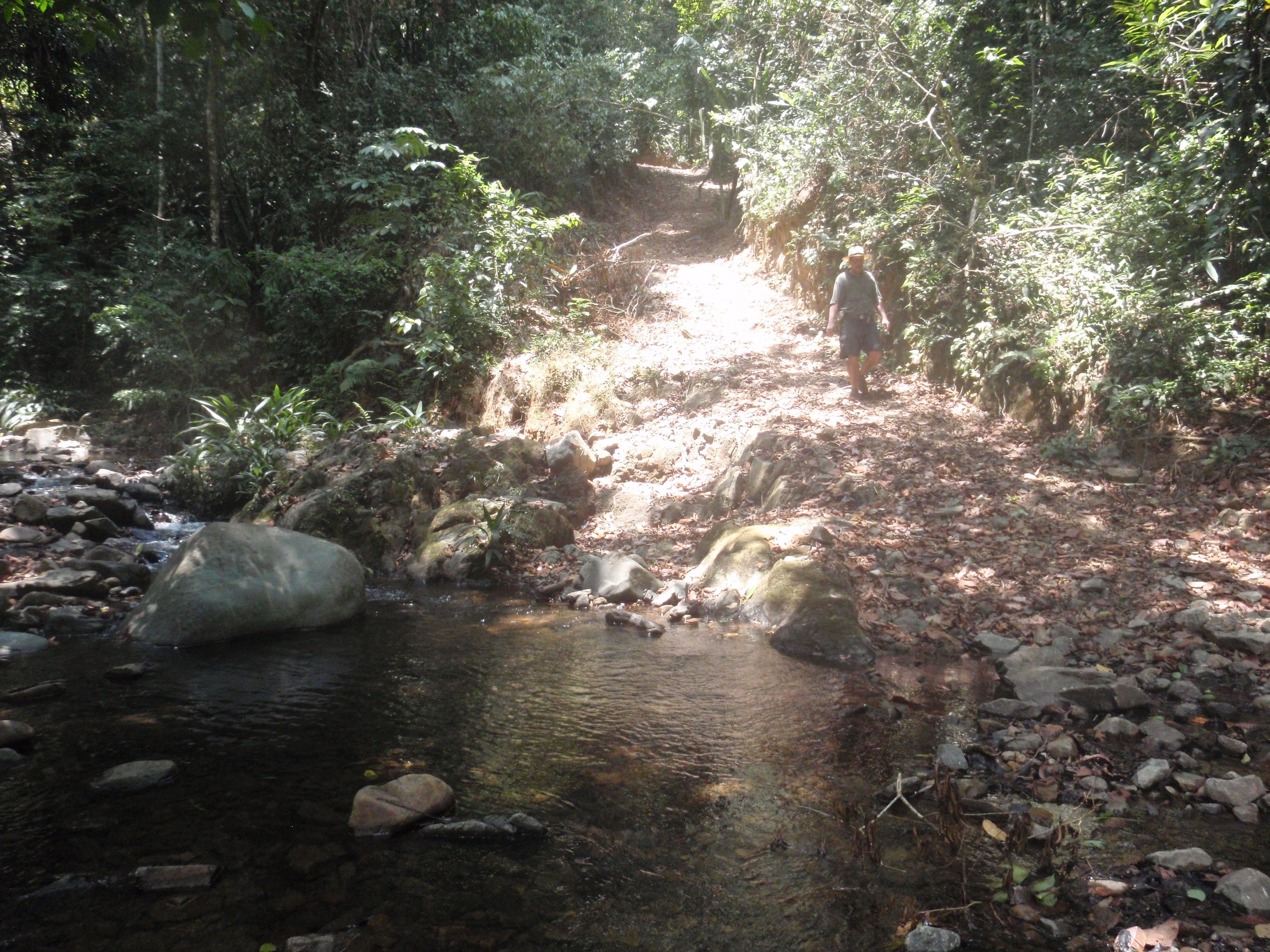 Río Indio a Corpus Cristi