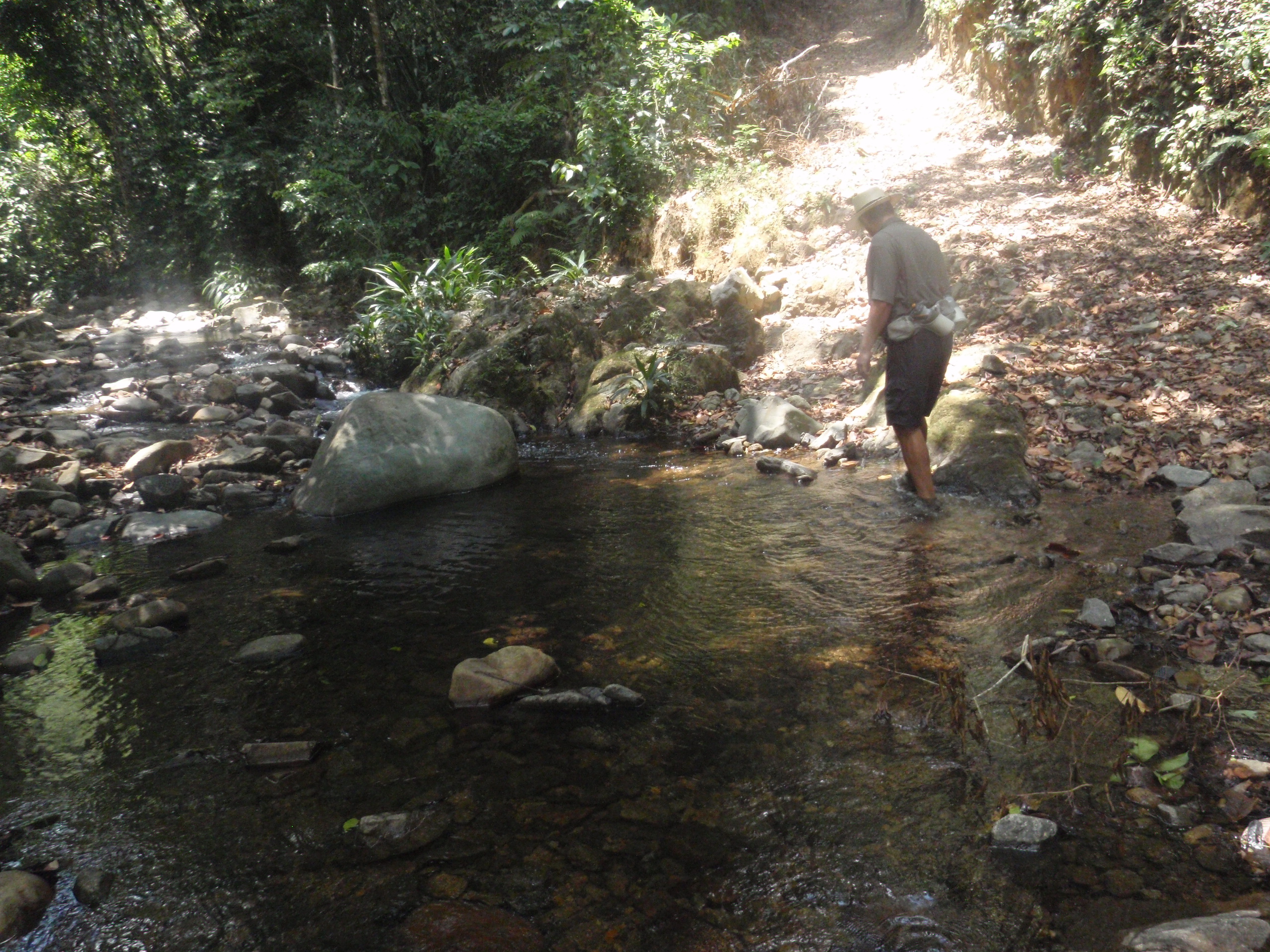 Río Indio a Corpus Cristi