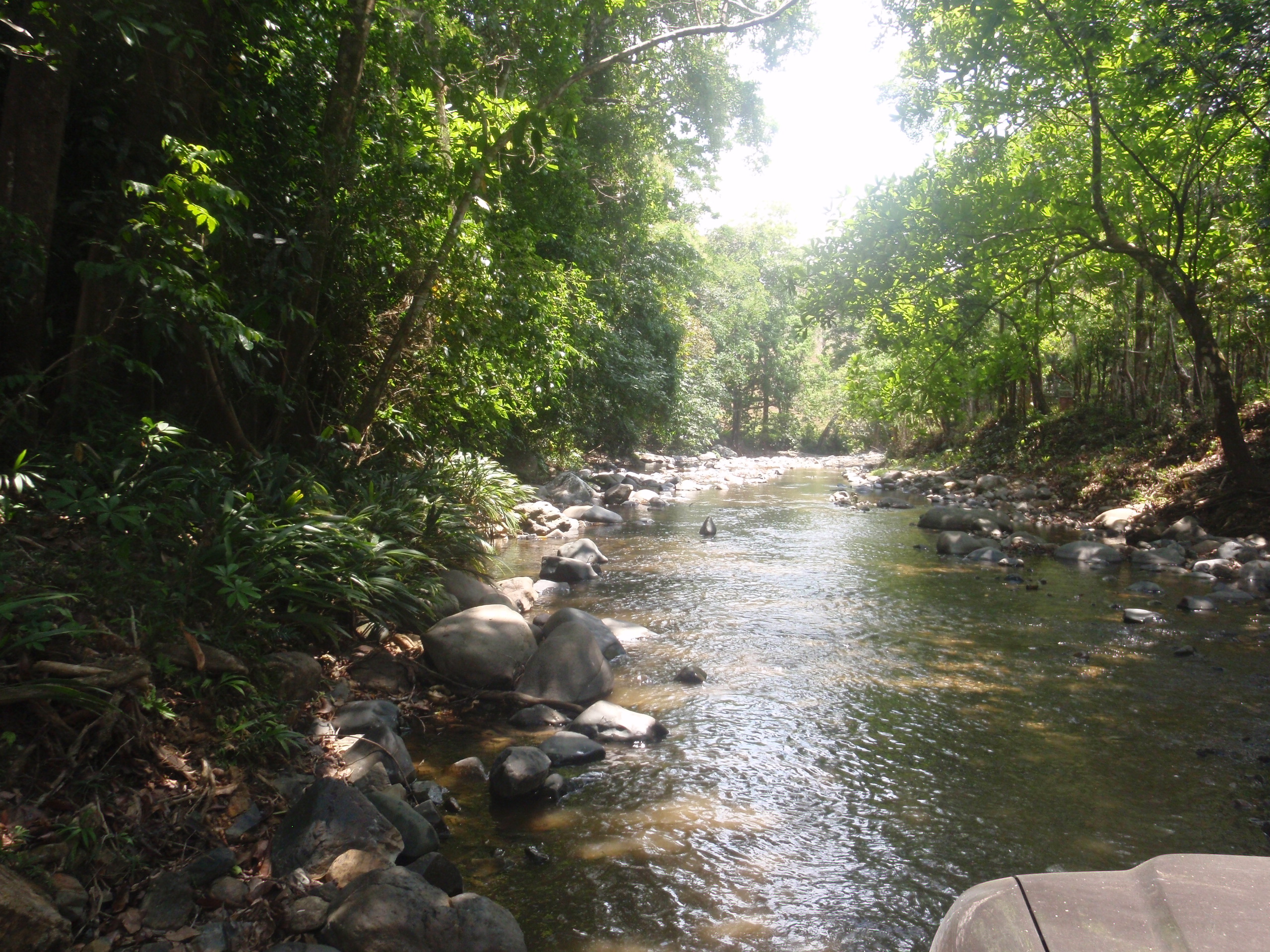 Río Indio a Corpus Cristi