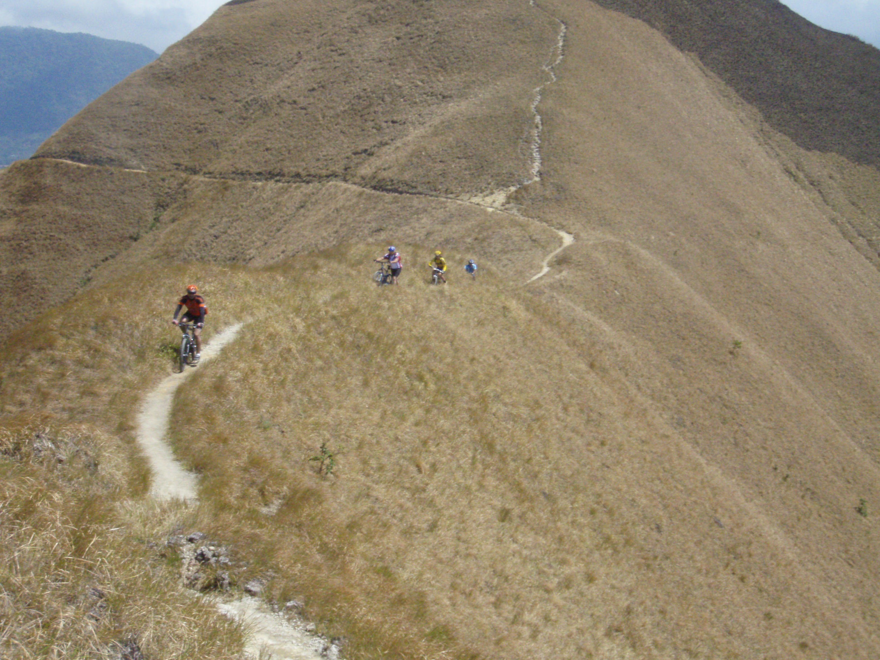 Trillo La Silla