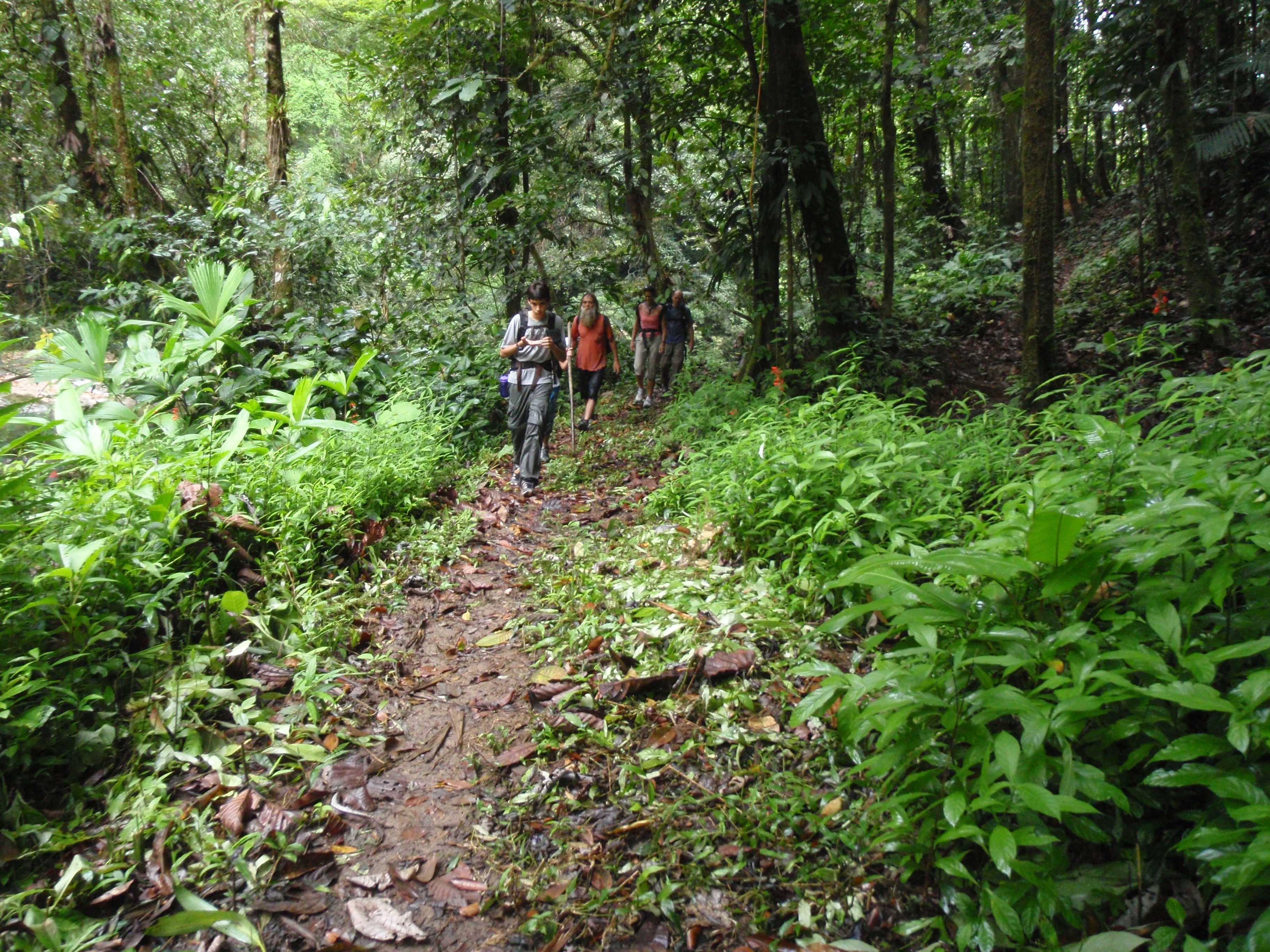 Sendero