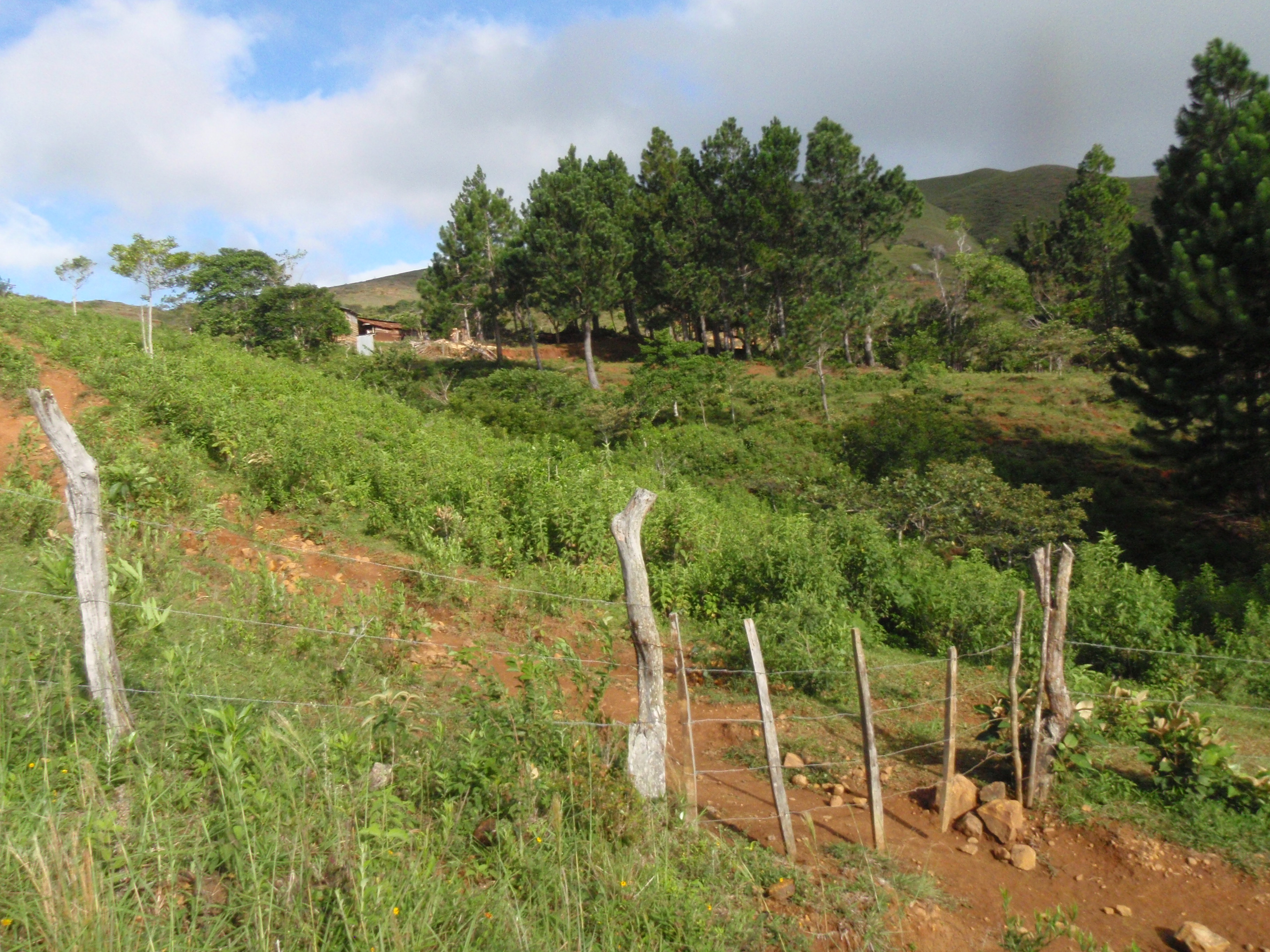 Cerro Golondrina