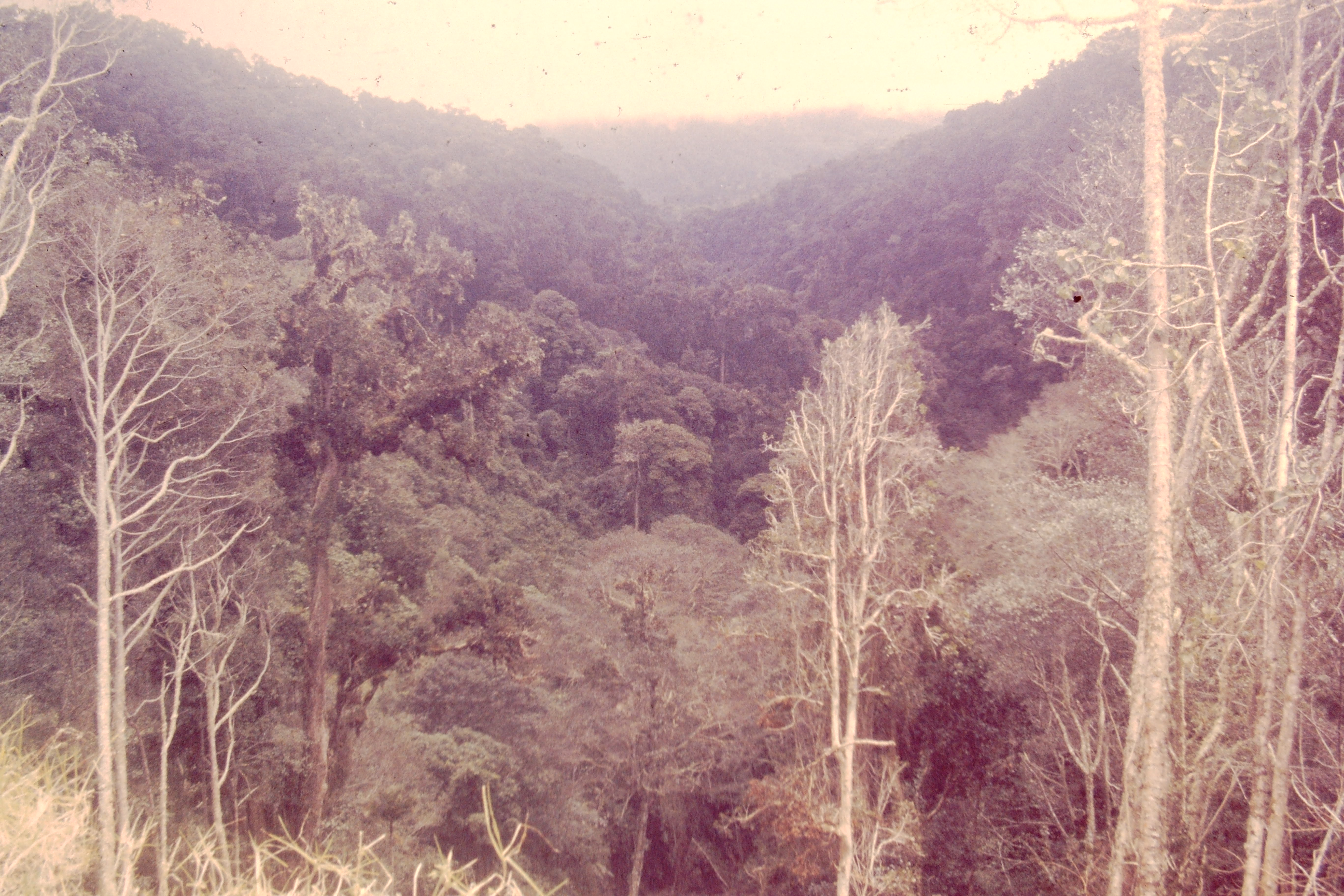 PICT0686