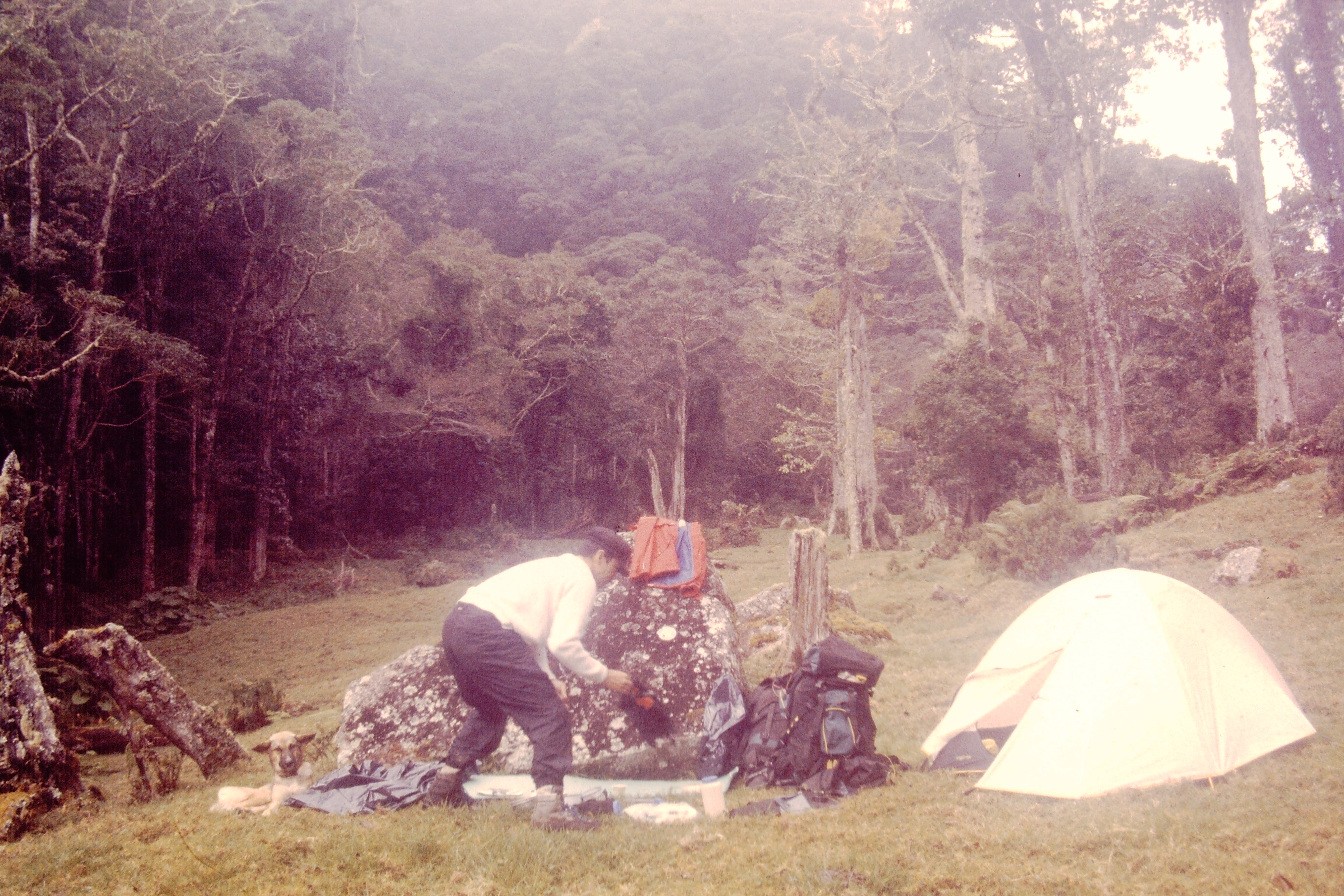 PICT0702