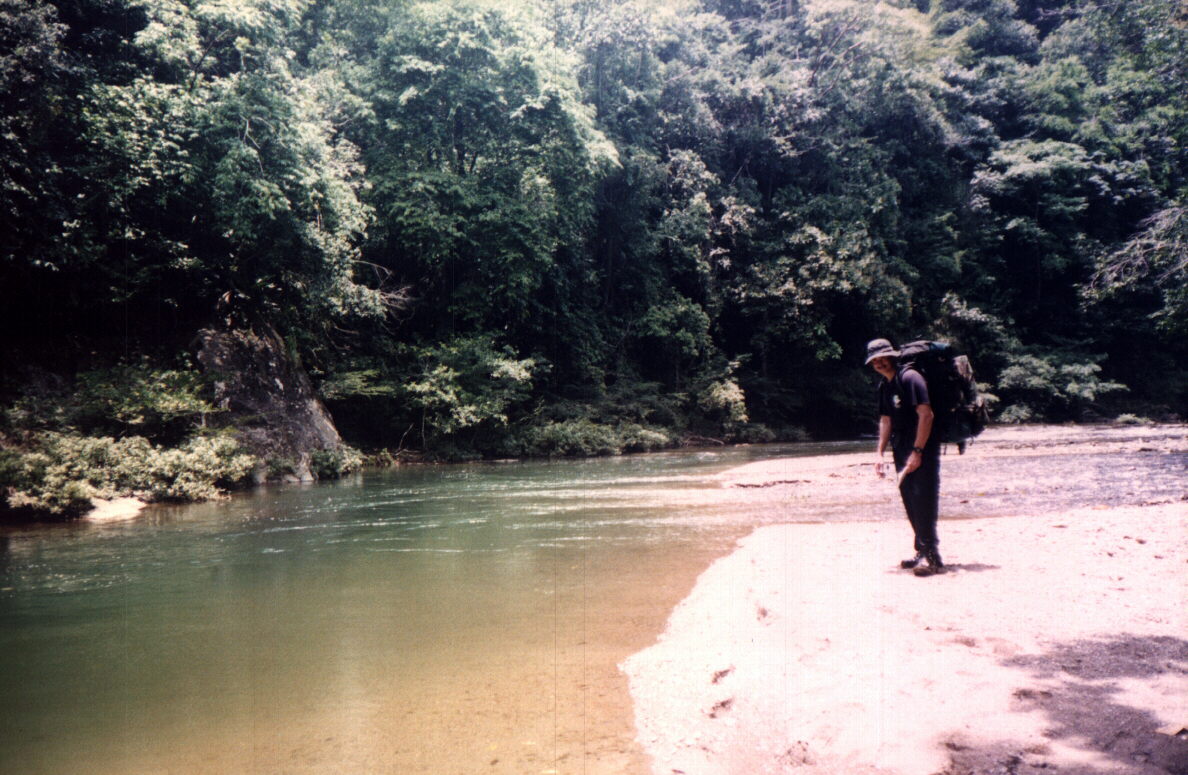 SCAN7