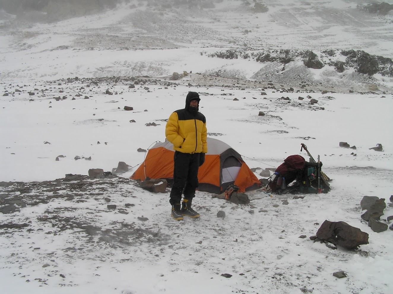nido-con-nieve (20K)
